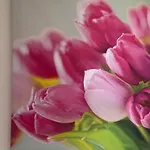 Apartamento Four Flowers