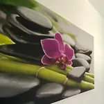 Four Flowers Apartamento