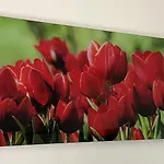 Four Flowers Apartamento