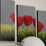 Four Flowers * Siófok