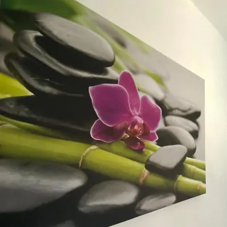 Four Flowers Lejlighed