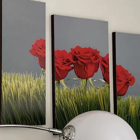 Four Flowers * Siófok