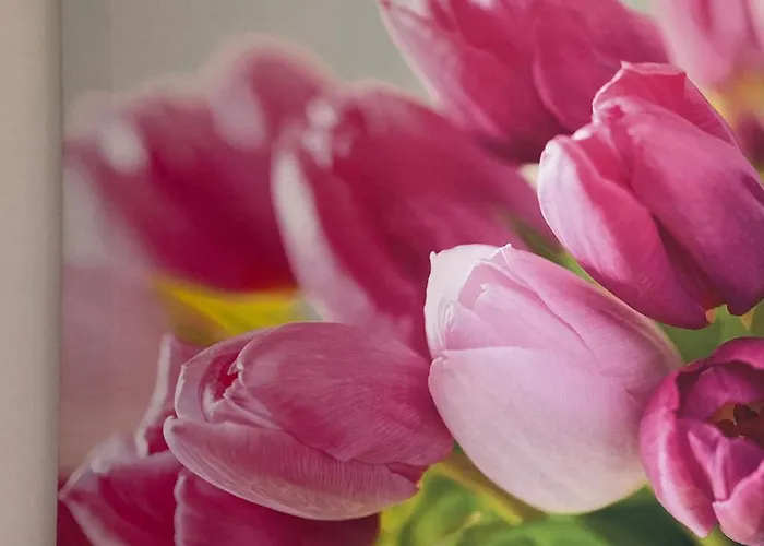 דירה Four Flowers