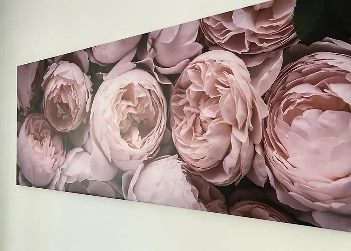 Four Flowers שיופוק