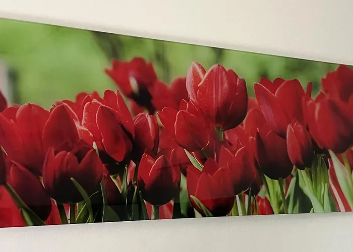 Four Flowers דירה